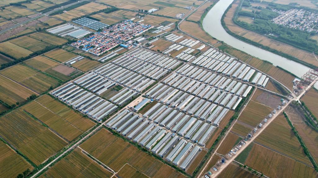 &ldquo;采摘游&rdquo;助推鄉村特色產(chǎn)業(yè)發(fā)展