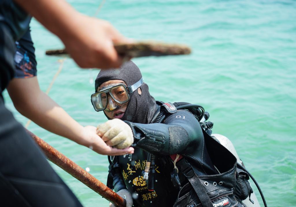 王豐國：天涯海角&ldquo;牧&rdquo;海人