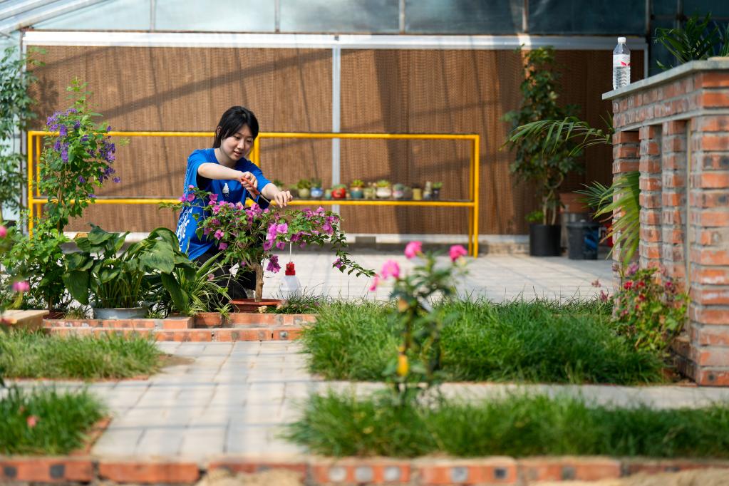 河北唐山：推進(jìn)城郊農業(yè)發(fā)展 激發(fā)鄉村振興活力