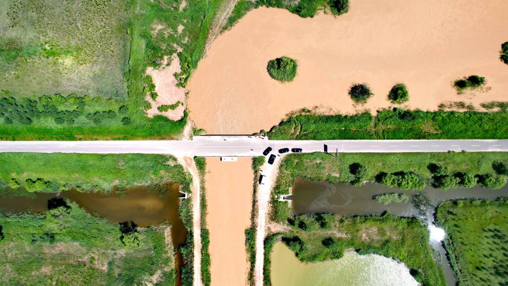 黃河三角洲的綠色變遷——黃河調水調沙期間生態(tài)補水見(jiàn)聞