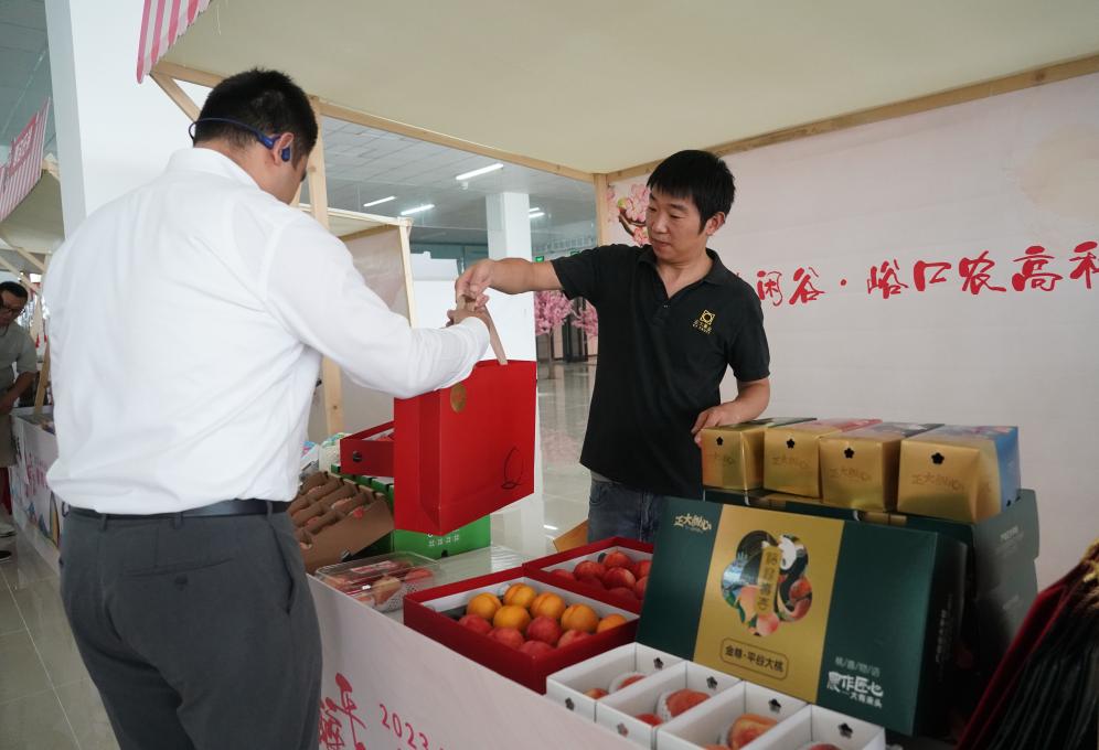 2023北京&middot;平谷鮮桃季開(kāi)幕