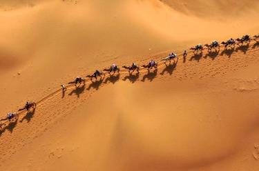 寧夏中衛：大漠黃河迎客來(lái)