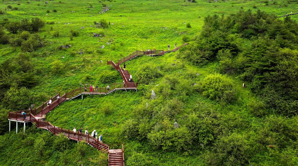 陜西留壩：&ldquo;涼資源&rdquo;激活&ldquo;熱經(jīng)濟&rdquo; 秦嶺小城避暑游升溫