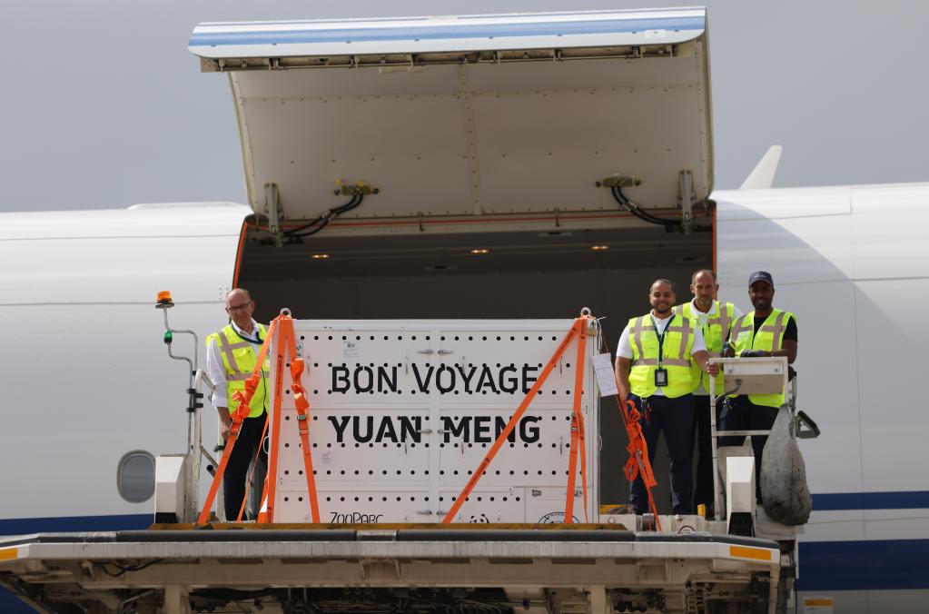 法國：送別&ldquo;圓夢(mèng)&rdquo;