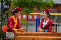 西藏錯那：勒布溝莓茶產(chǎn)業(yè)帶動(dòng)鄉村振興