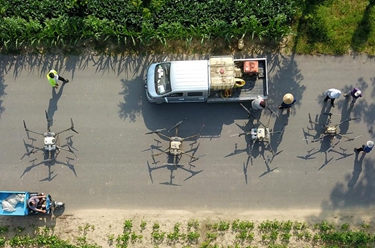 山東成武：無(wú)人機飛防作業(yè)忙