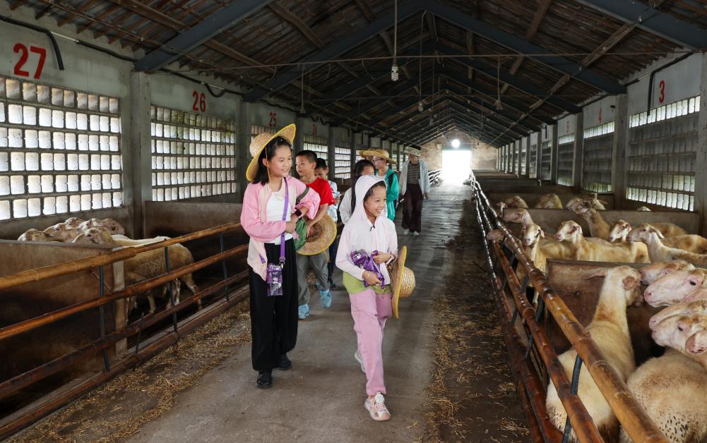 浙江湖州：暑期課堂進(jìn)農場(chǎng)