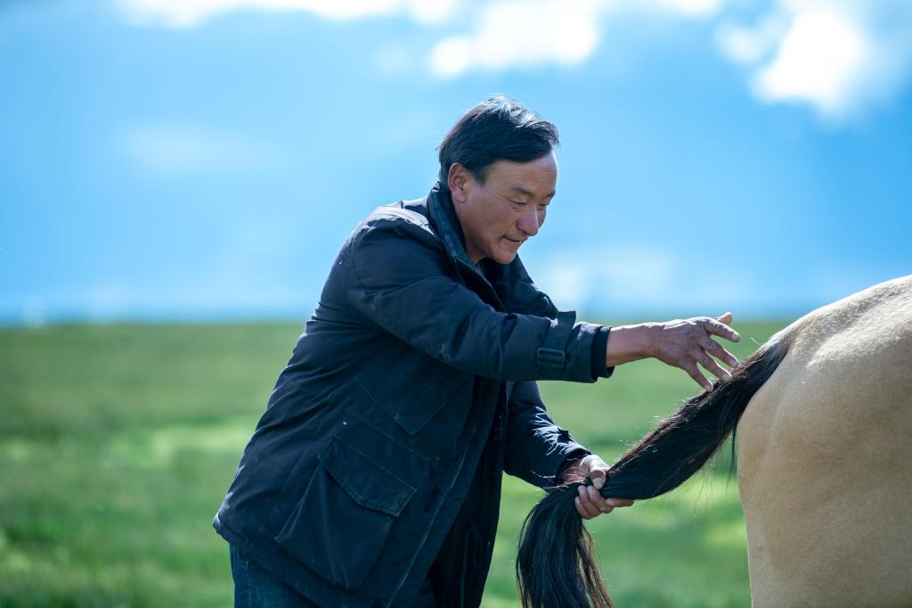 次扎達大叔和他的馬兒&ldquo;隆達熱巴&rdquo;