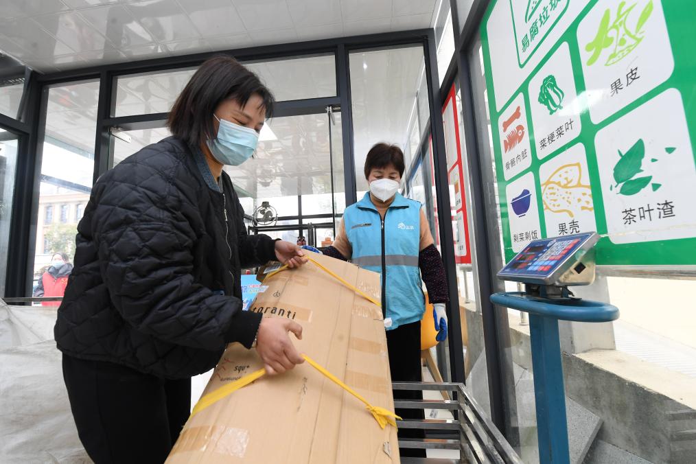 從山頂到海洋，浙江生態(tài)持續向好