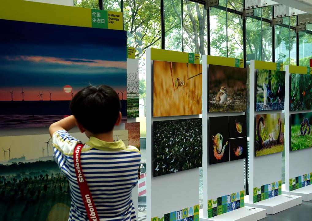 上海舉辦生態(tài)環(huán)保藝術(shù)節