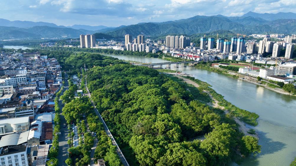 福建：古樹(shù)&ldquo;老有所依&rdquo; 留住鄉愁根脈