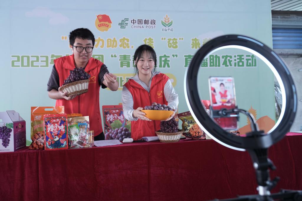 &ldquo;青耘重慶&rdquo;直播助農在田間