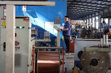 河北寧晉：推進(jìn)企業(yè)全面復工復產(chǎn)