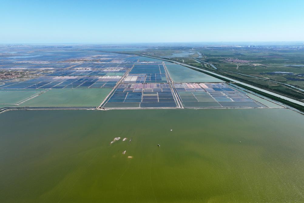 河北海興：&ldquo;藍色糧倉&rdquo;收獲忙