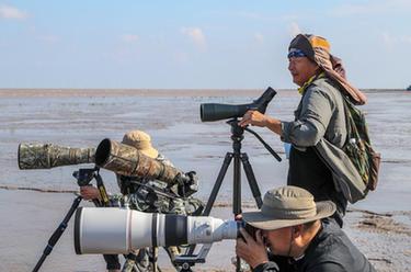 改革故事｜讓濱海濕地成為&ldquo;精靈&rdquo;的天堂&mdash;&mdash;守護人群像掃描