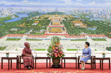 彭麗媛會(huì )見(jiàn)贊比亞總統夫人穆廷塔