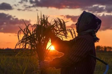 鏡觀(guān)中國&middot;新華社國內新聞?wù)掌恢芫x
