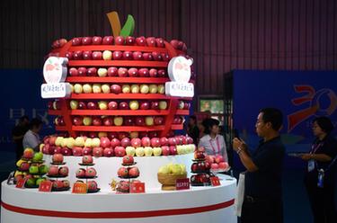 新華全媒+｜第30屆中國楊凌農業(yè)高新科技成果博覽會(huì )開(kāi)幕