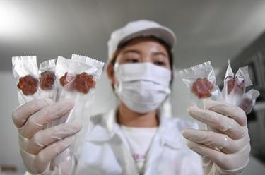 河北趙縣：&ldquo;雪花梨之鄉&rdquo;繪就豐收新圖景