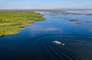 新時(shí)代中國調研行&middot;黃河篇|守望烏梁素海的大學(xué)生們