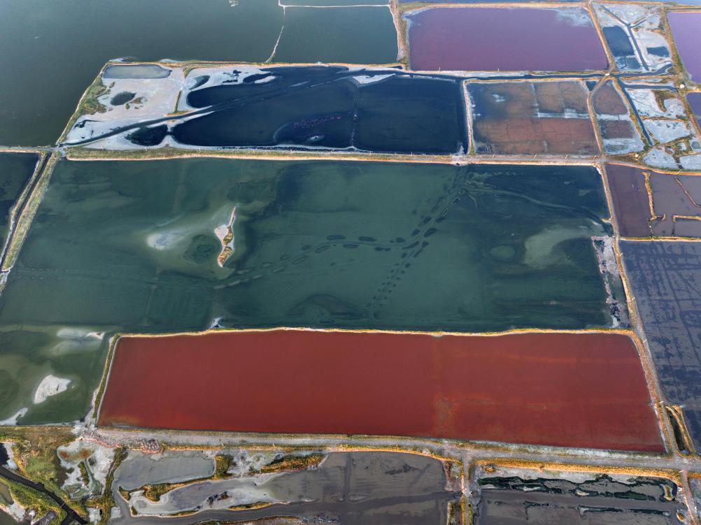 新時(shí)代中國調研行&middot;黃河篇丨鹽湖日出