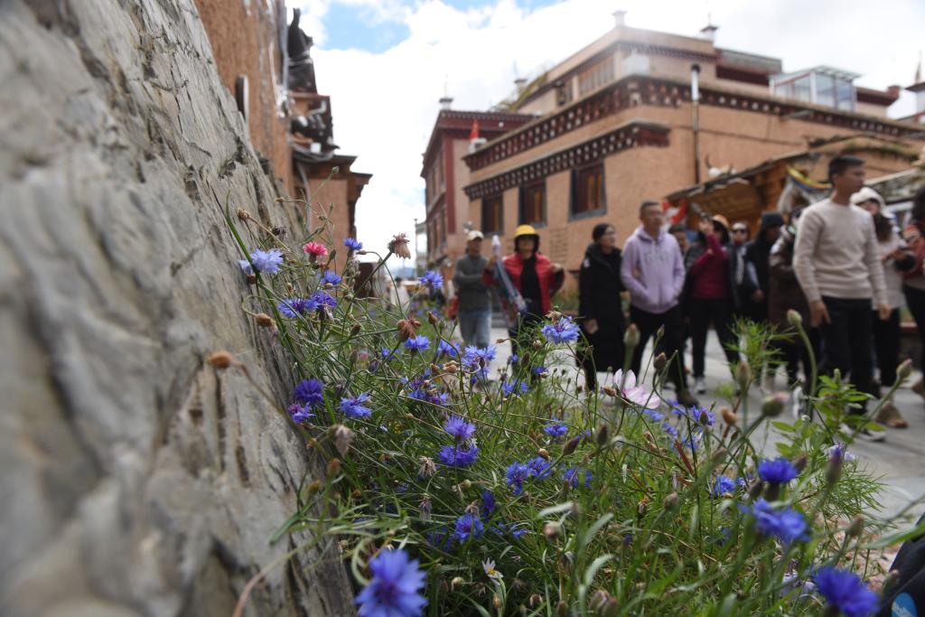 &ldquo;天空之城&rdquo;理塘印象