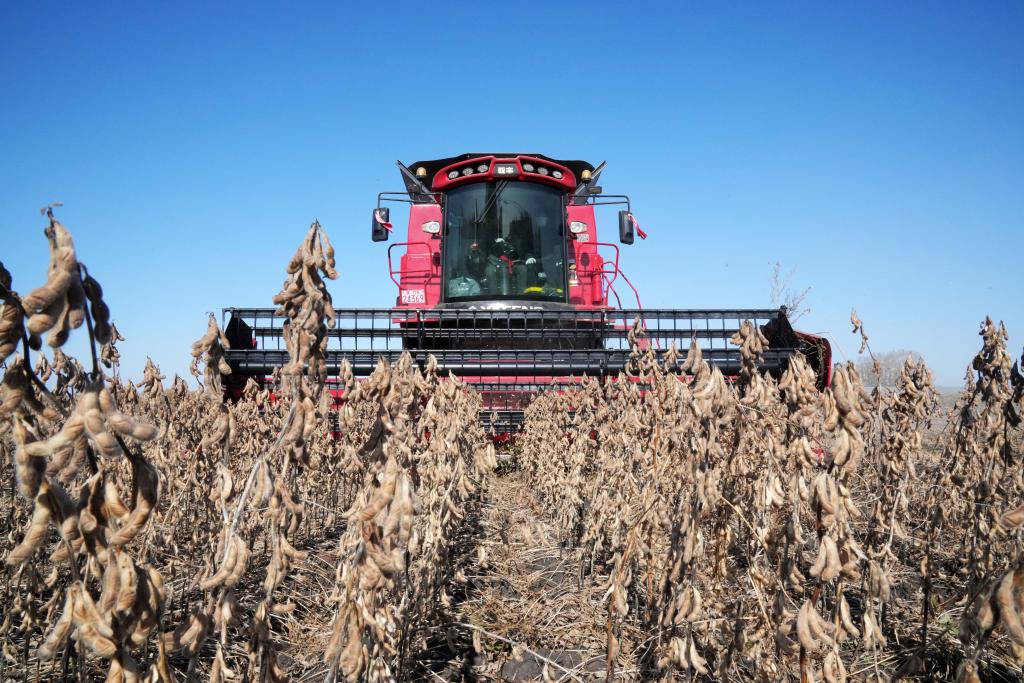 新華全媒+丨&ldquo;北大倉&rdquo;秋收提速