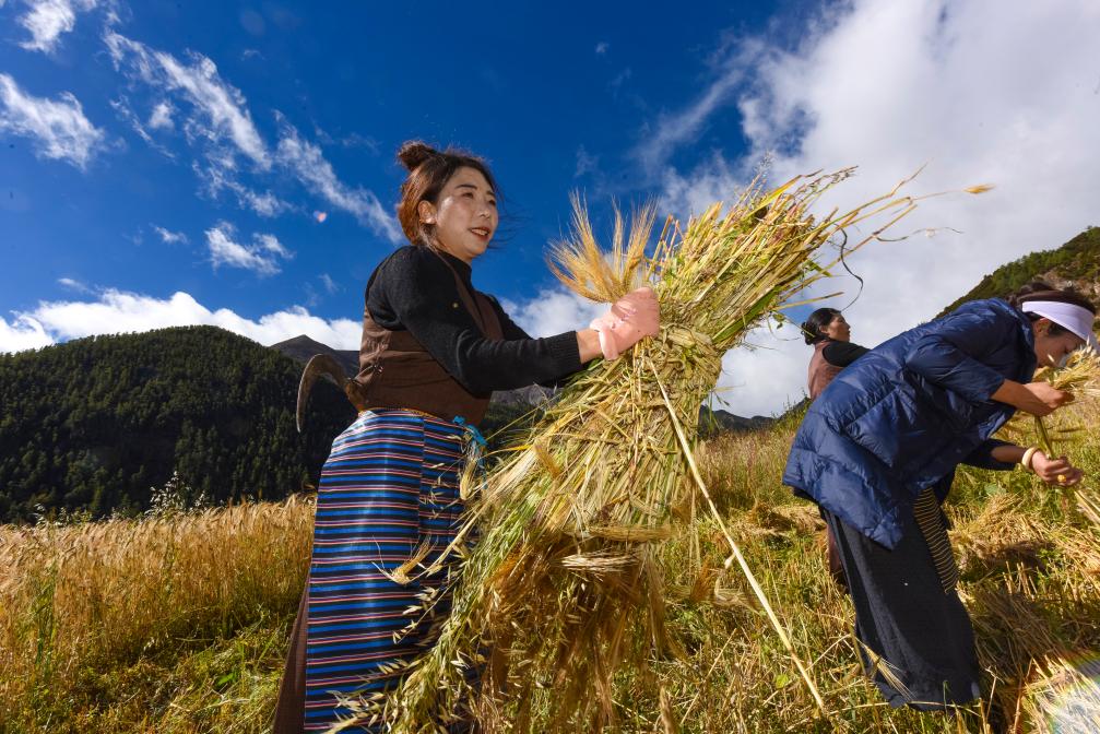 四川亞?。焊咴酱迩囡藏S收
