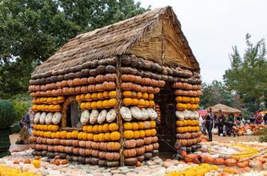 美國達拉斯十萬(wàn)南瓜堆成&ldquo;南瓜小鎮&rdquo;