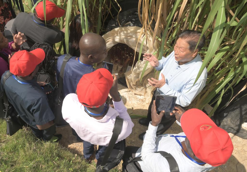 林占熺和&ldquo;中國草&rdquo;