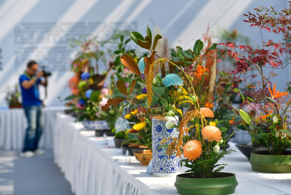 2023中國合肥苗木花卉交易大會(huì )開(kāi)幕