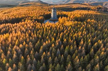 鏡觀(guān)中國&middot;新華社國內新聞?wù)掌恢芫x