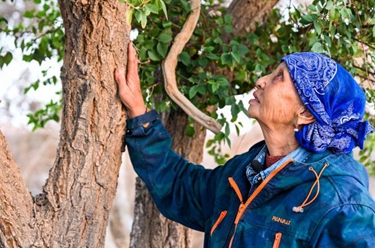 新華全媒+丨綠色接力:保護千年黑城