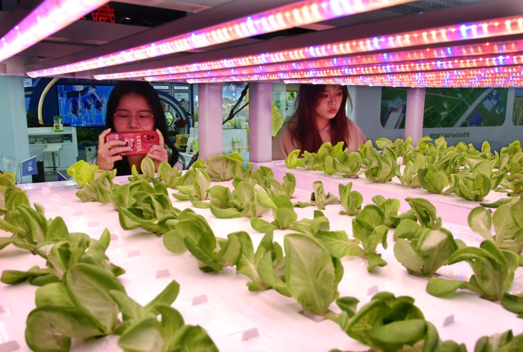 第二十屆中國農交會(huì )在青島開(kāi)幕