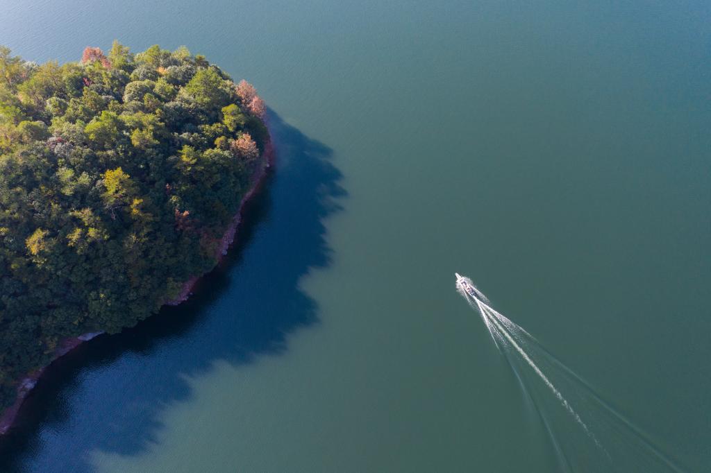 浙江淳安：山鄉&ldquo;共富蜜&rdquo;迎來(lái)豐收季
