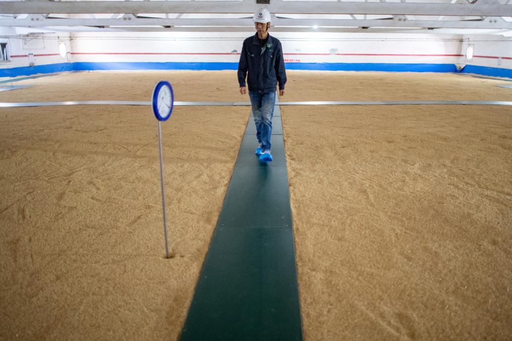 湖北仙桃：走進(jìn)&ldquo;大國糧倉&rdquo; 感受&ldquo;科學(xué)儲糧&rdquo;