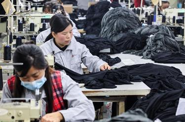 山東東平：發(fā)展產(chǎn)業(yè)助力庫區移民增收