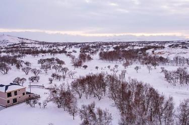 雪后草原美如畫(huà)