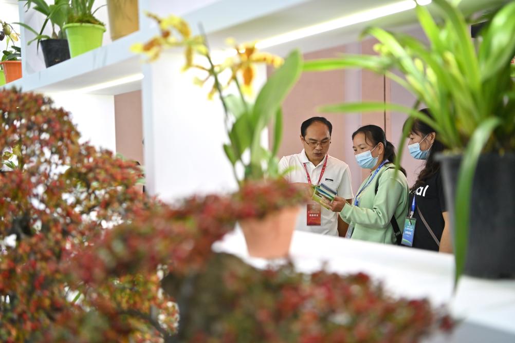 2023年中國－東盟博覽會(huì )林產(chǎn)品及木制品展開(kāi)展