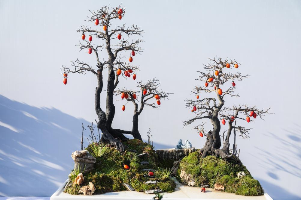 第二十一屆中國（金華）花卉苗木博覽會(huì )開(kāi)幕