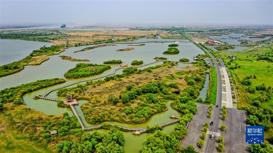 (新華全媒頭條·圖文互動(dòng))(3)“讓我們一起向未來(lái)”——聆聽(tīng)習近平主席2022年新年賀詞