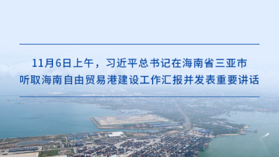 高標準建設海南自貿港，習近平總書(shū)記提出明確要求