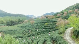 萬(wàn)象&ldquo;耕&rdquo;新！碼住人間四月天