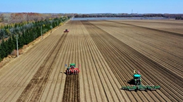 黑土地上的春耕掃描:在五月的暖風(fēng)中種下希望
