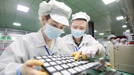 復工復產(chǎn)進(jìn)行時(shí)丨點(diǎn)滴創(chuàng  )新、集群發(fā)展&hellip;&hellip;這些企業(yè)堅定擴產(chǎn)