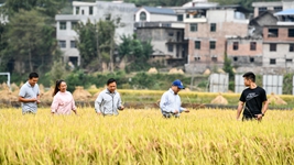 新農人給鄉村振興帶來(lái)哪些新面貌？