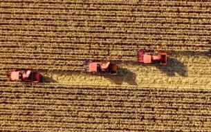 今秋，金秋！