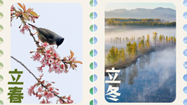 年終報道&middot;2022奔向美好丨節氣里的2022