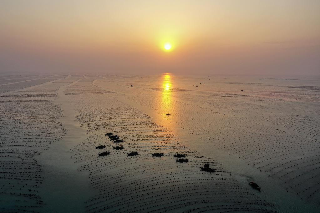 山東榮成：早春時(shí)節 &ldquo;耕海牧漁&rdquo;