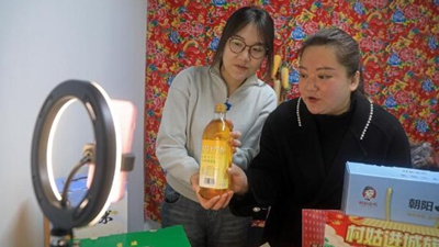 王穎：做 &ldquo;有情懷，會(huì )妙招，富鄉親&rdquo;新時(shí)代返鄉新農人